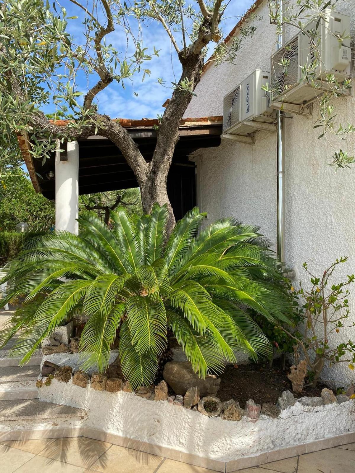 Domo Angheleda - Alghero Casa Indipendente Vicino Al Mare エクステリア 写真